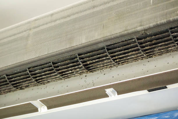 Best Dryer Vent Cleaning in Carbondale, KS